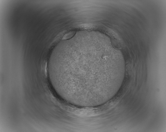 X0000072930024200608041228