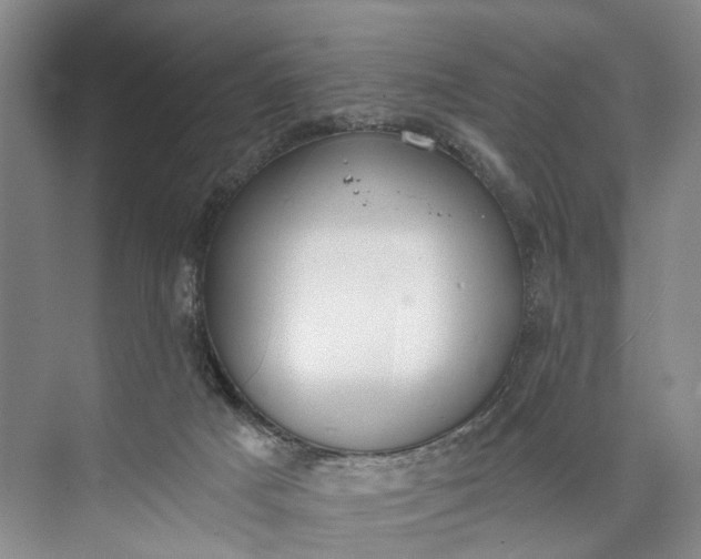 X0000072930025200608041228