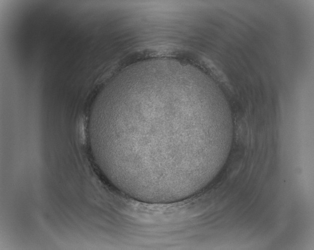 X0000072930026200608041228