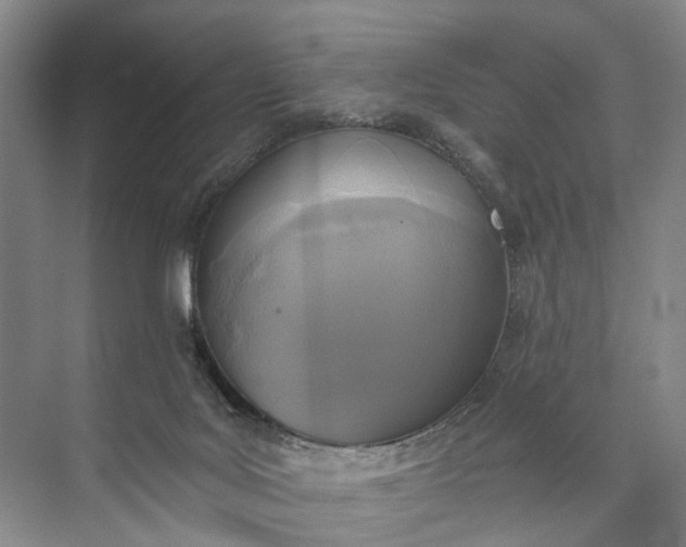 X0000072930027200608041228