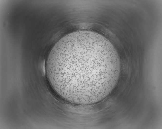 X0000072930028200608041228