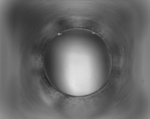 X0000072930029200608041227