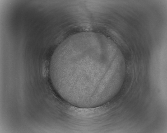 X0000072930030200608041227