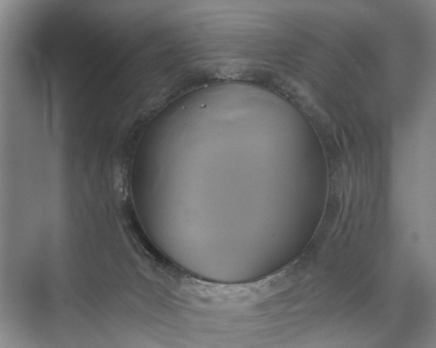 X0000072930031200608041227