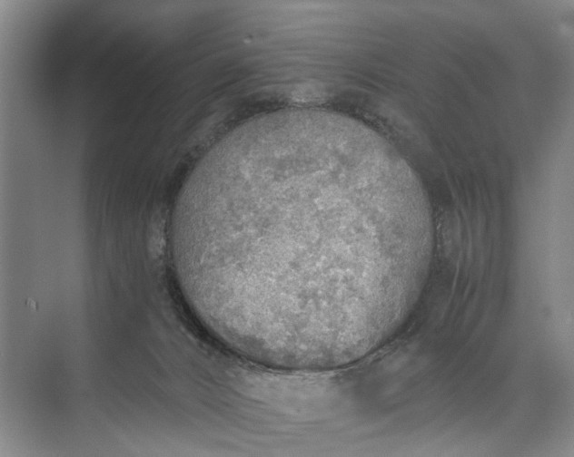 X0000072930032200608041227