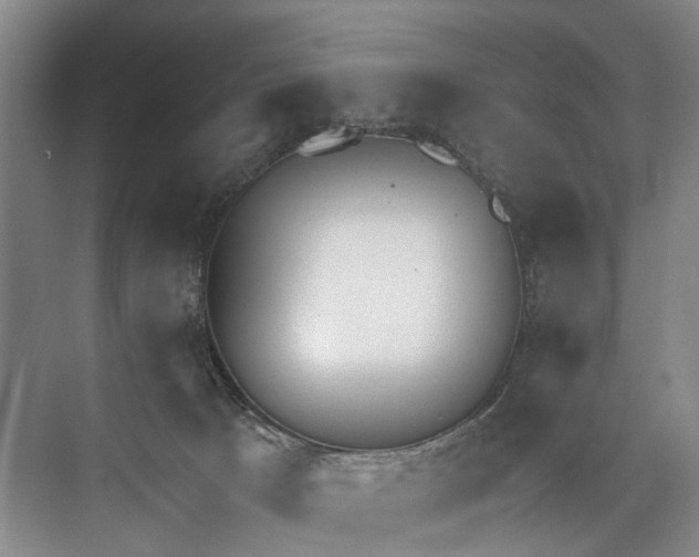 X0000072930033200608041227