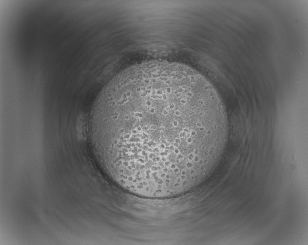 X0000072930034200608041227