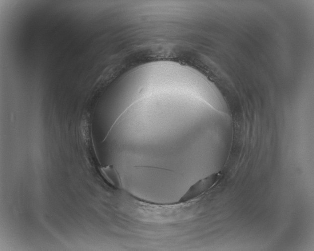 X0000072930035200608041227