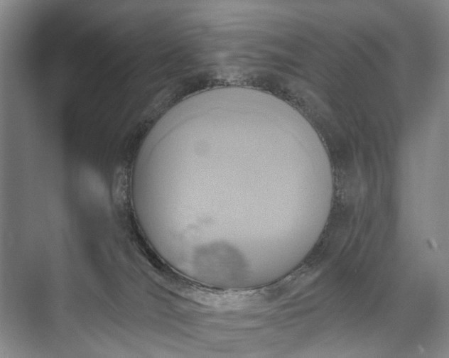 X0000072930036200608041227