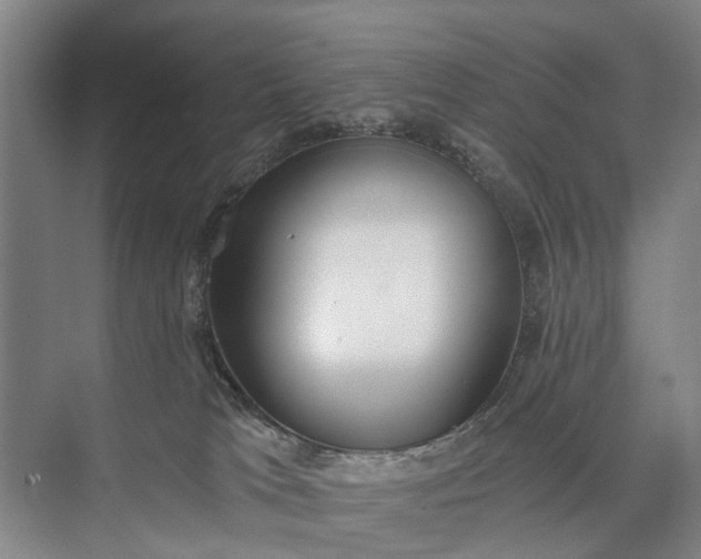 X0000072930037200608041227