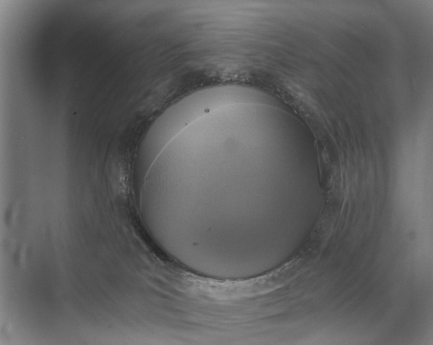 X0000072930039200608041227