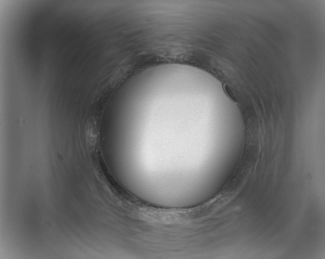 X0000072930040200608041227