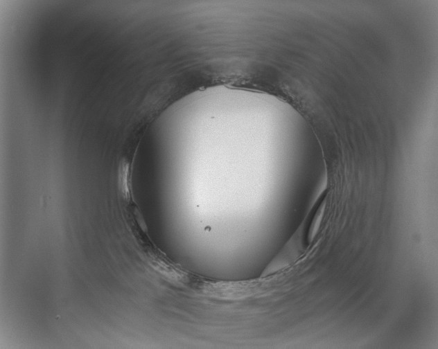 X0000072930041200608041227