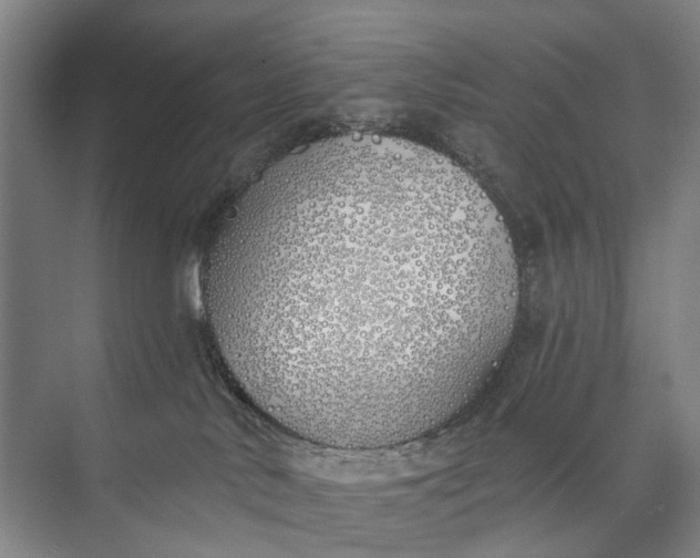 X0000072930042200608041227