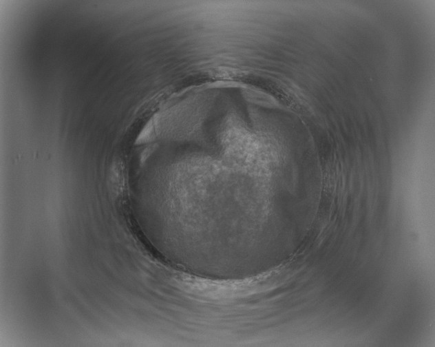 X0000072930043200608041227