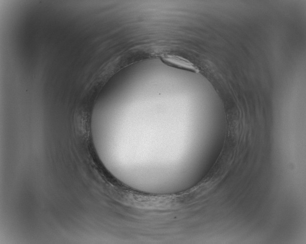 X0000072930044200608041227