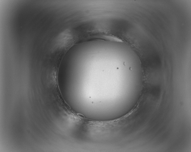 X0000072930045200608041227