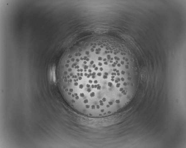 X0000072930046200608041227