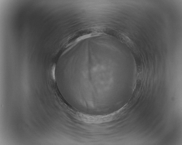 X0000072930047200608041227