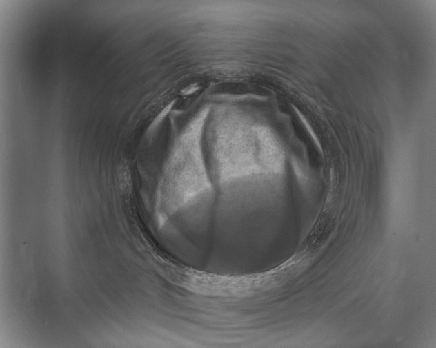 X0000072930048200608041227