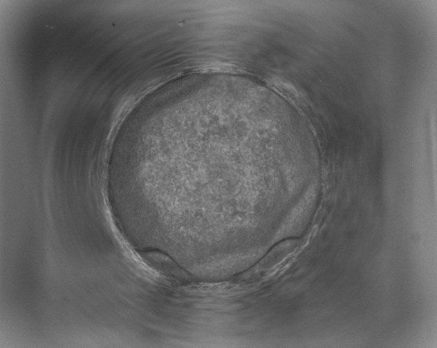 X0000072930049200608041226