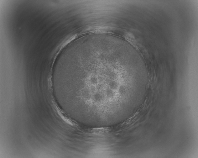 X0000072930050200608041226