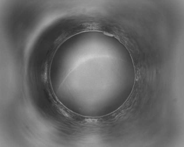 X0000072930052200608041226