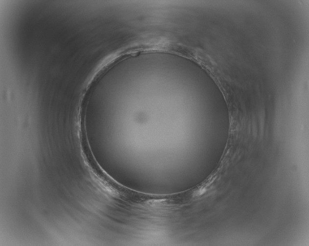 X0000072930054200608041226