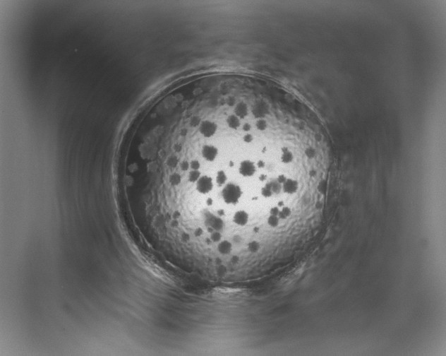 X0000072930055200608041226