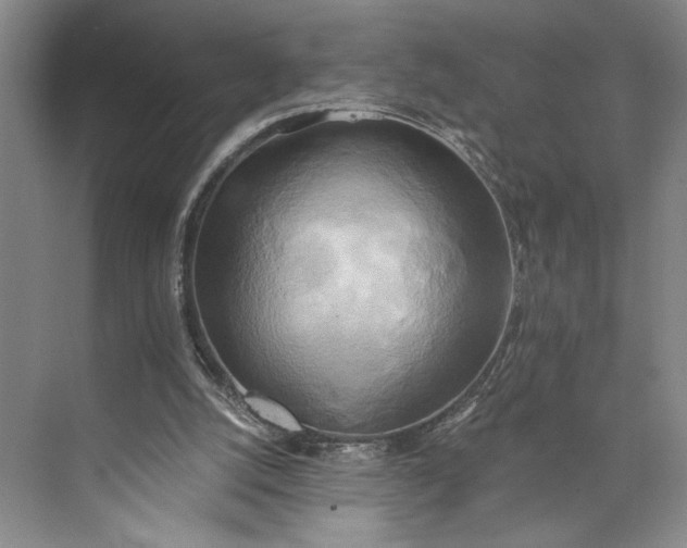 X0000072930056200608041226