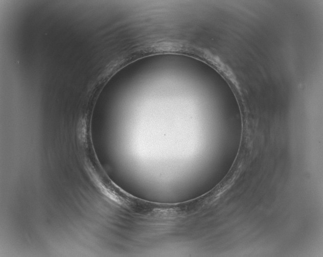 X0000072930057200608041226