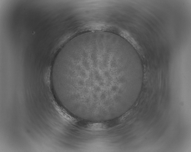 X0000072930058200608041227