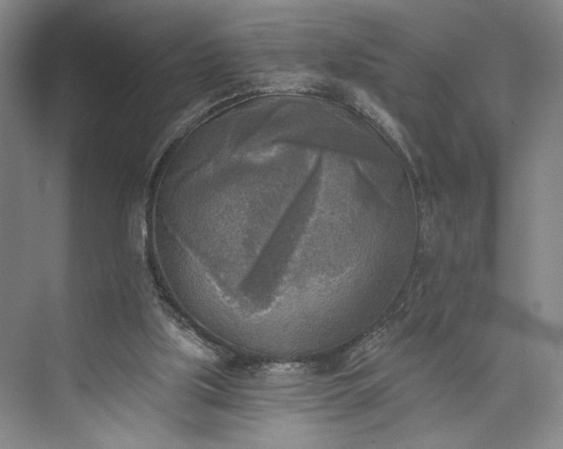 X0000072930059200608041227