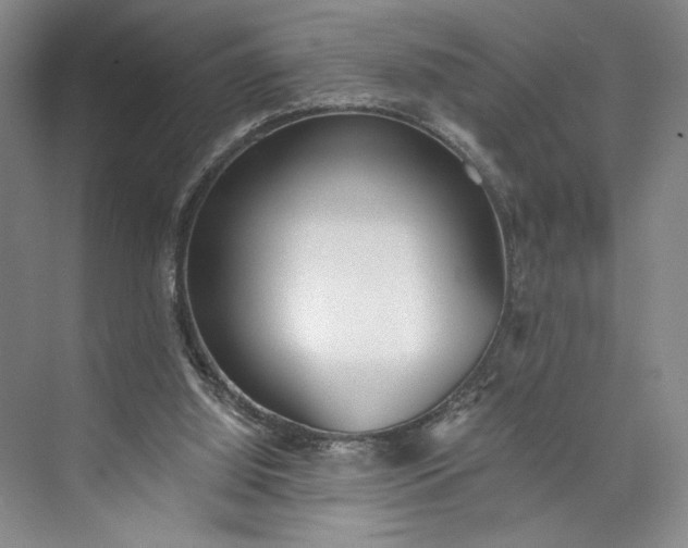 X0000072930060200608041227