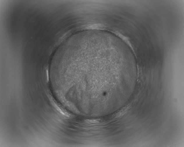 X0000072930061200608041227