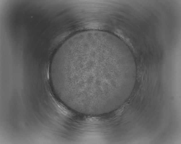 X0000072930062200608041227