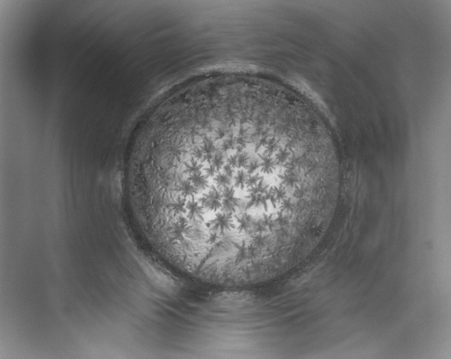 X0000072930063200608041227