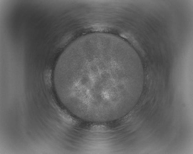 X0000072930066200608041227