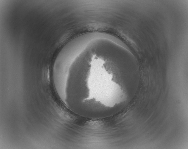 X0000072930067200608041227