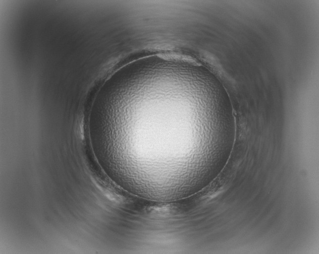 X0000072930068200608041227