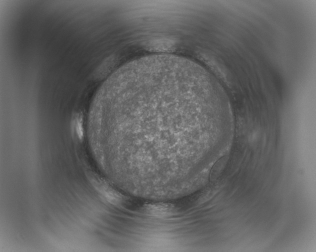 X0000072930069200608041227