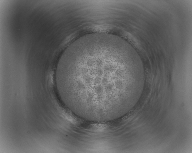 X0000072930071200608041227