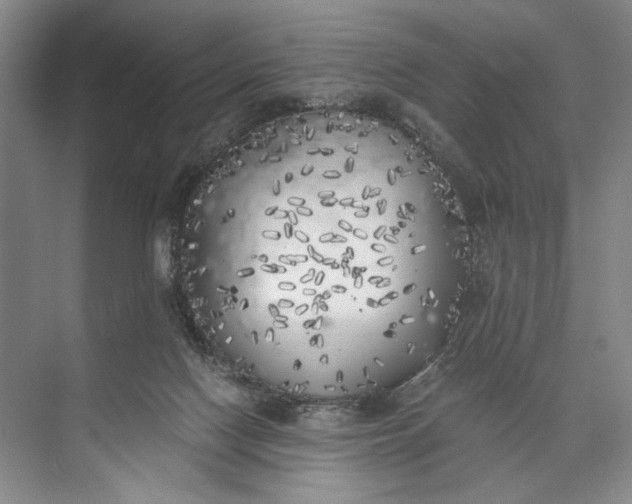 X0000072930074200608041227