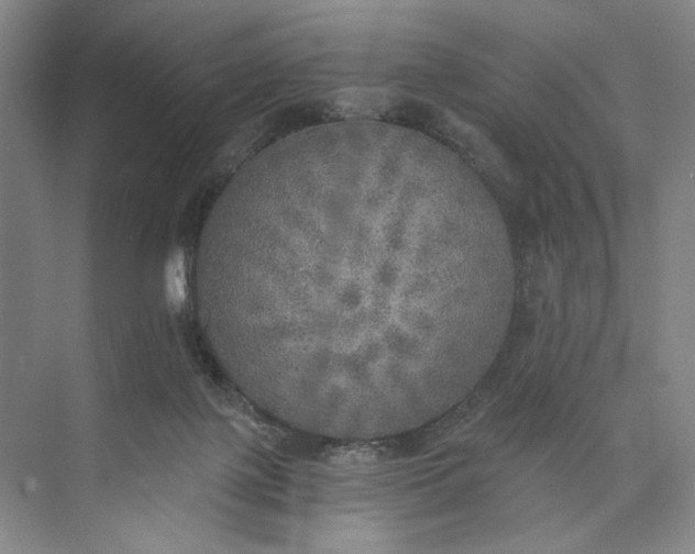 X0000072930075200608041227