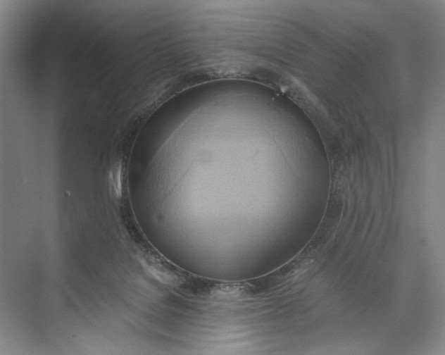 X0000072930076200608041227