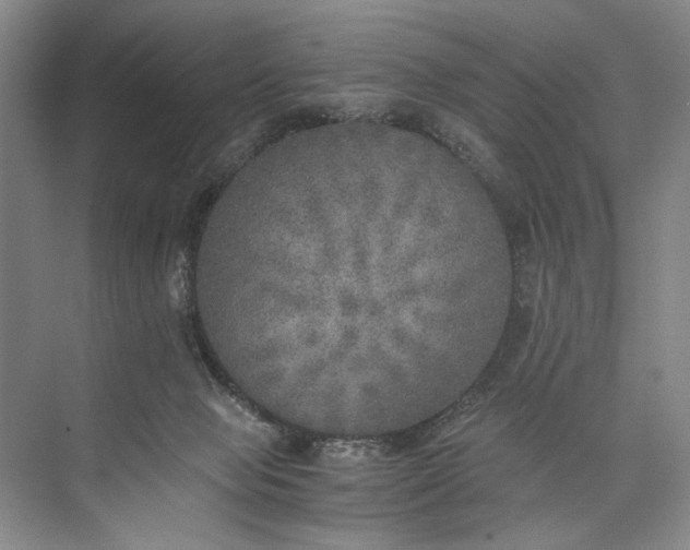 X0000072930077200608041227