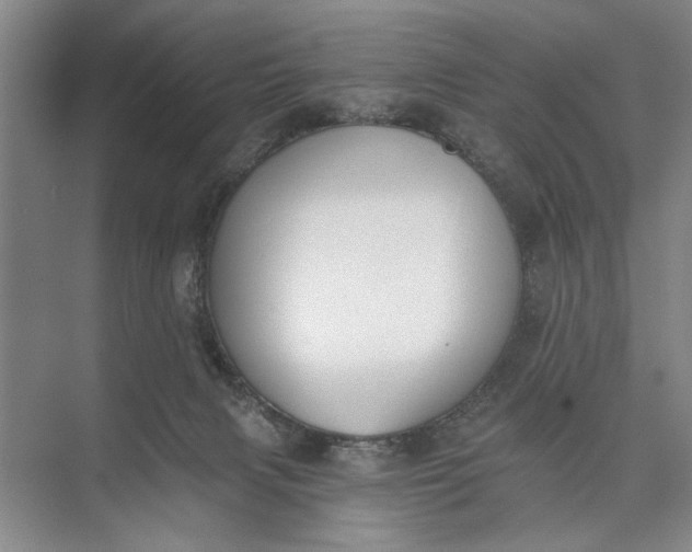 X0000072930079200608041227