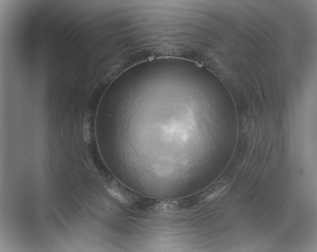 X0000072930080200608041227