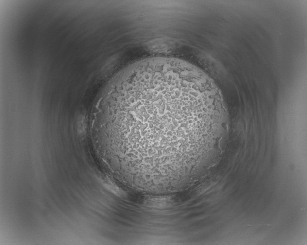 X0000072930081200608041227