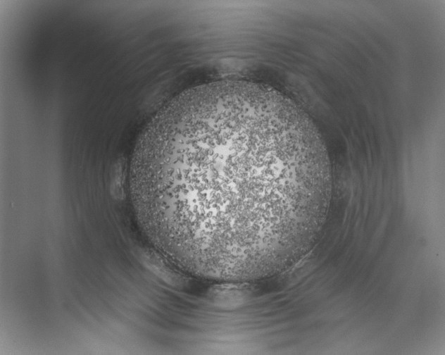 X0000072930082200608041227